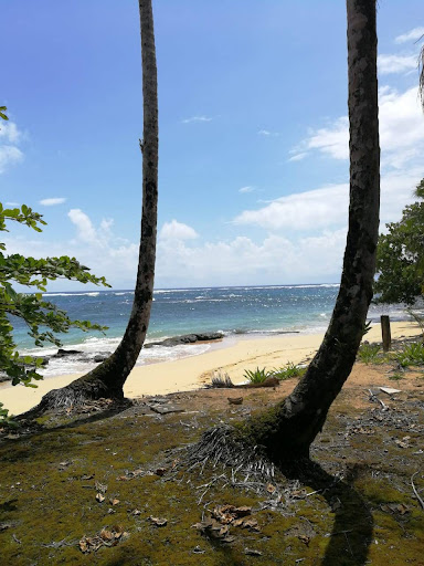 Isla Bastimentos