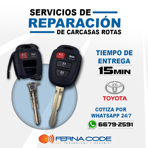 FERNACODE Key & Ecu store